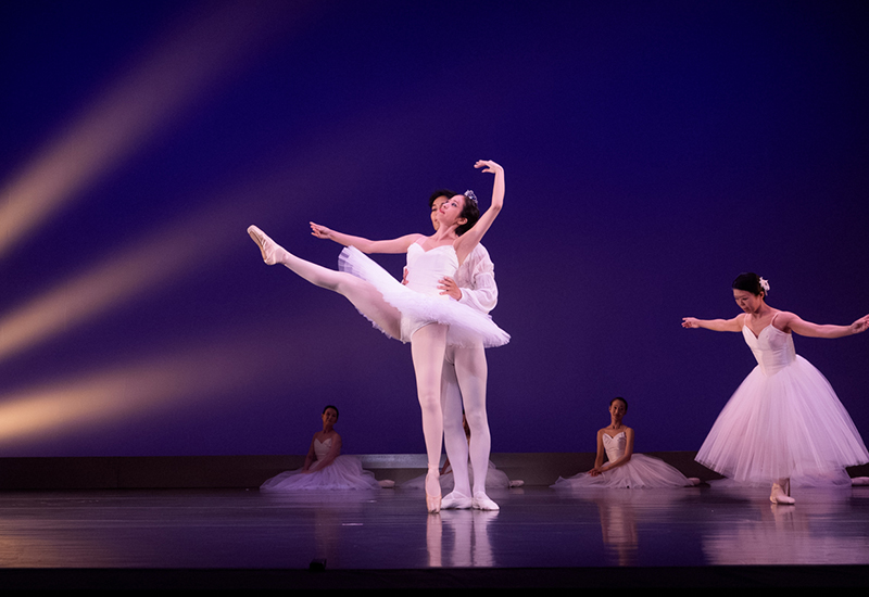 『夏の組曲：2025』